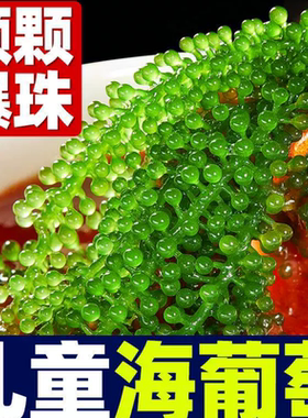 海葡萄新鲜儿童海葡萄