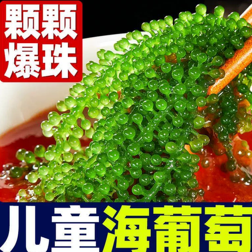 海葡萄新鲜儿童海葡萄