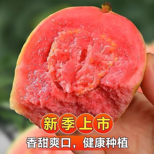 芭乐红心番石榴新鲜水果5斤