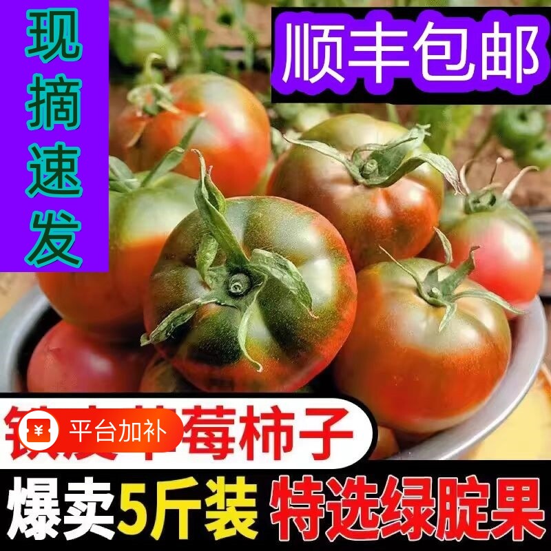 铁皮柿子顺丰包邮新鲜现摘自然熟丹东草莓番茄多汁酸甜水果番茄