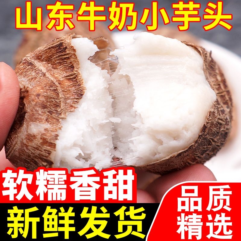 山东牛奶小芋头5斤毛芋头新鲜蔬菜小香芋槟榔芋芋艿农家自种红芽