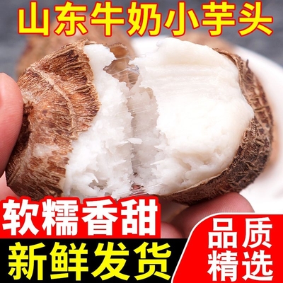 山东牛奶小芋头5斤毛芋头新鲜蔬菜小香芋槟榔芋芋艿农家自种红芽