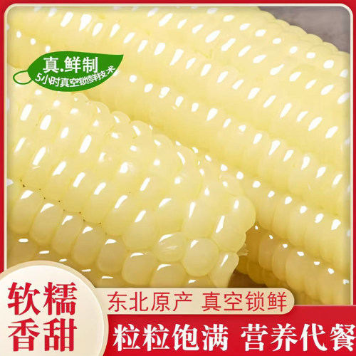 东北白糯玉米黑龙江粘玉米香甜真空包装加热即食减脂代餐甜玉米