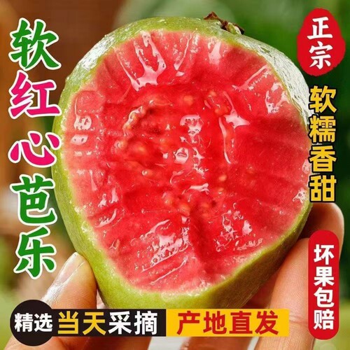 【新货】红心芭乐新鲜番石榴香软鸡屎果冰淇淋奶油双拼芭乐泡沫箱
