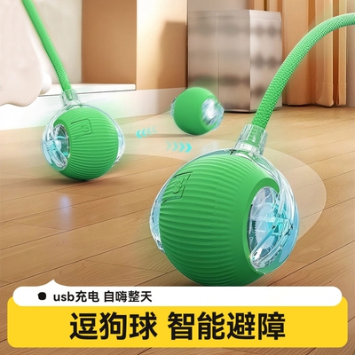 【全网热销】狗狗玩具遛狗球鹦鹉