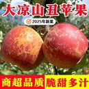 正宗大凉山丑苹果原生态盐源红富士脆甜应季 水果现摘现发生鲜好吃