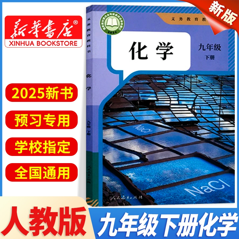 九年级下册化学人教版新华正版