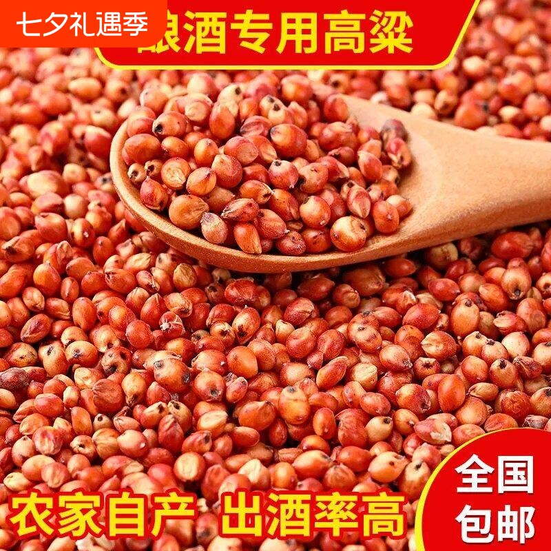 红高粱喂鸽子粮食去壳带皮鸟食信鸽观赏鸽幼鸽成鸽粮饲料酿酒新鲜
