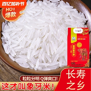 广西长寿之乡上林大米2025年新米象牙象米农家长粒香米猫牙米10斤