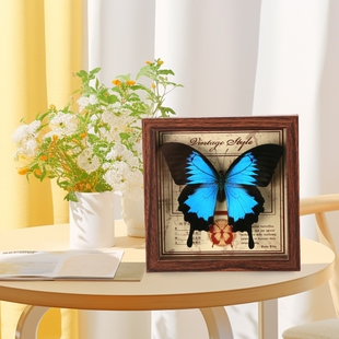 天堂翠凤蝶标本相框真蝴蝶DIY摆台装饰生日礼物礼品桌面绿带客厅