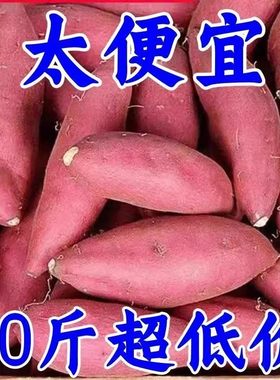 沙地蜜薯红薯新鲜9斤黄心番薯农家现发烤地瓜新鲜红薯自种西瓜红