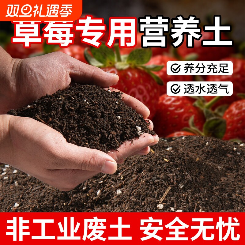 草莓专用土营养土种草莓专用瓜果蔬菜通用土阳台有机腐殖土泥炭土