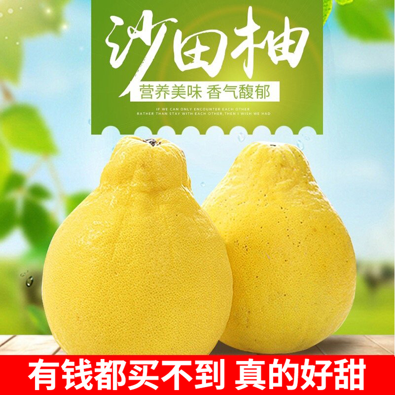 【纯甜】包邮正宗梅州沙田柚金柚当季孕妇新鲜水果沙甜柚白心柚子