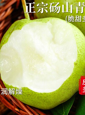 正宗青梨 砀山翠玉梨子砀山梨新鲜水果当季现摘现发苹果梨包邮