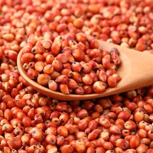 高粱酿酒专用高粱米新米红高粱带壳带皮高粱喂鸽子鸽用贵州红高粱