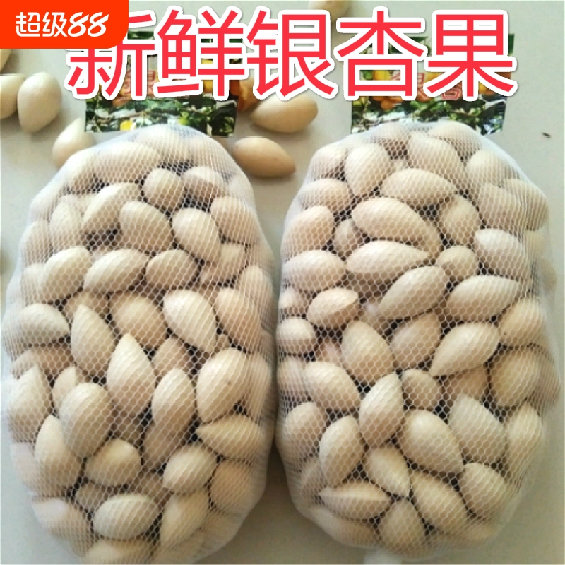 新鲜生白果银杏2斤保质量