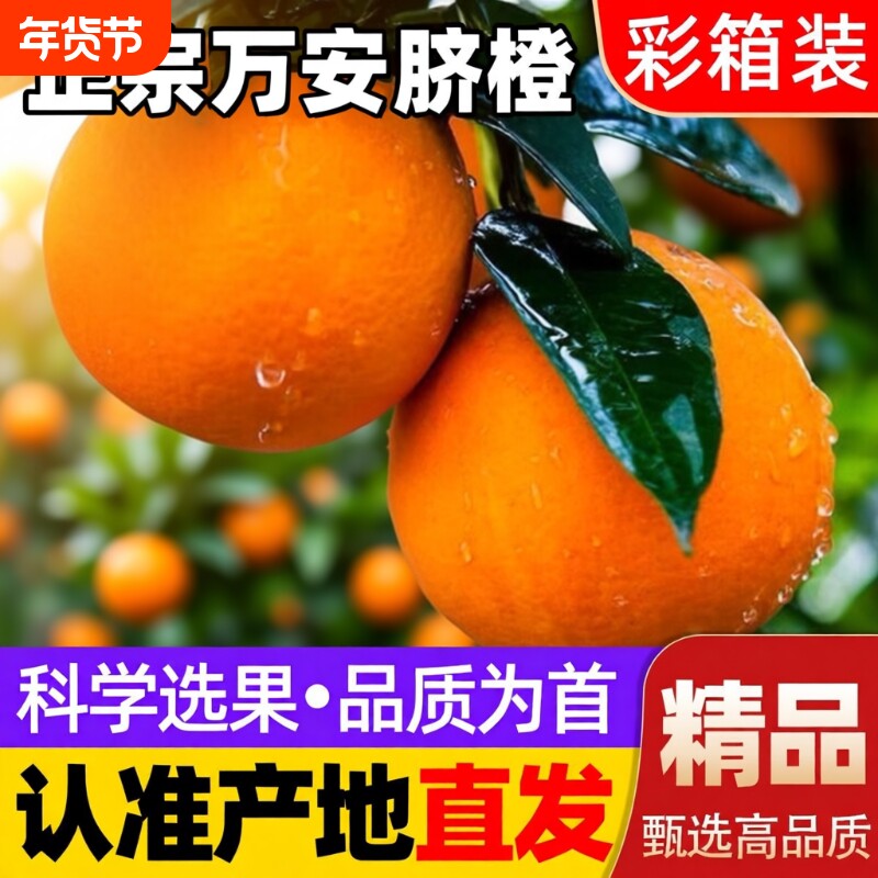 江西当季新鲜甜橙子孕妇水果2025年新果万安脐橙冰糖橙大果年货