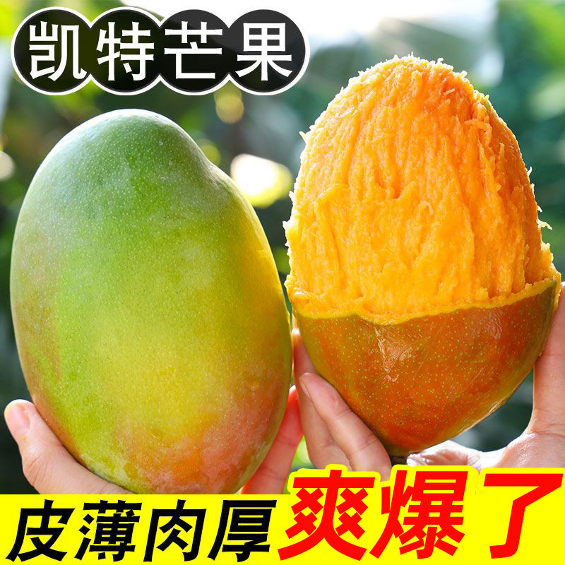 催熟正宗四川攀枝花凯特芒芒果新鲜水果整箱包邮果肉自提香蕉种植