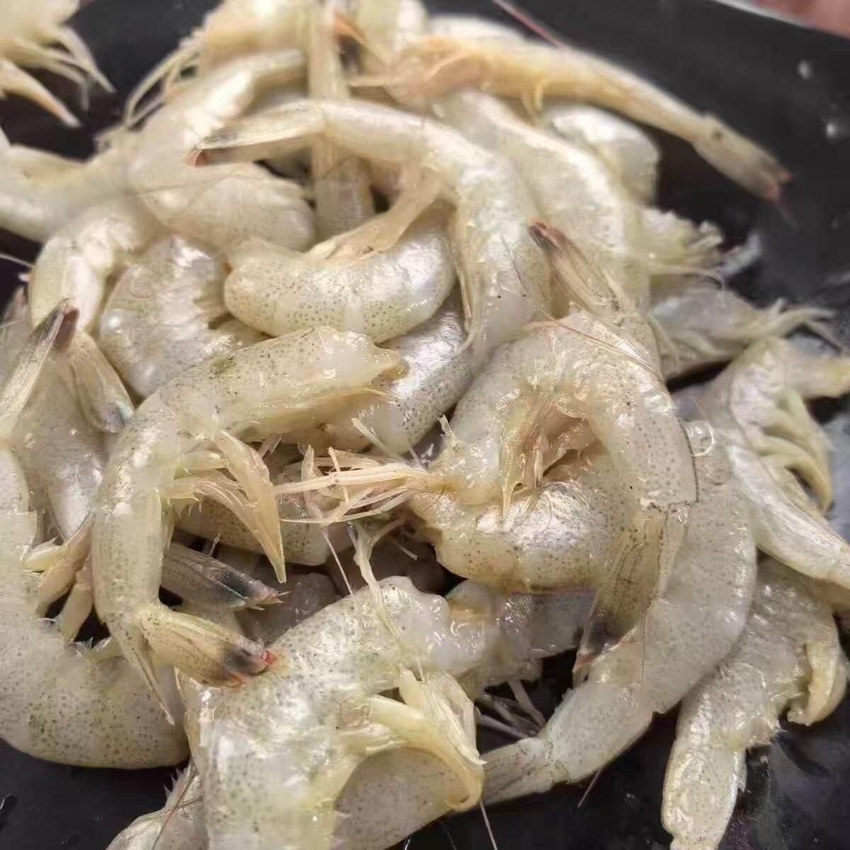纯野生羊毛虾去头虾尾虾仁冷冻海鲜生鲜新鲜冰鲜小白虾对虾批发