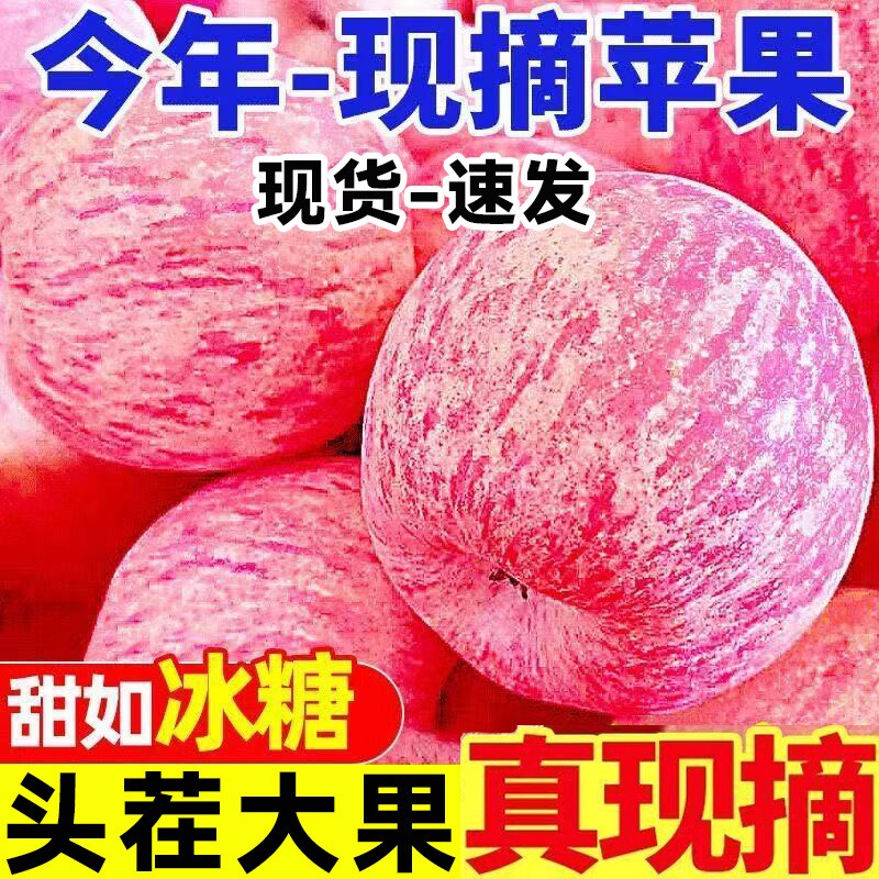 当季苹果水果新鲜红富士丑苹果脆甜冰糖心现摘膜袋平果包邮整箱