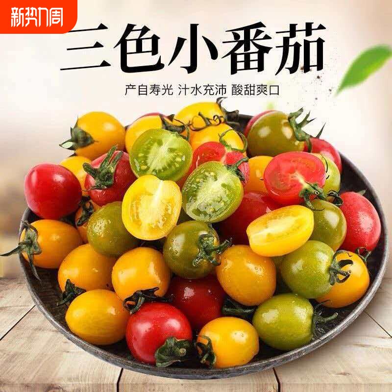 三色小番茄组合装产新鲜番茄产地现摘现发京东快递包邮新鲜小番茄