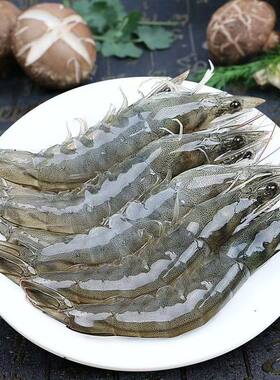 冠鲜行动大虾鲜活速冻
