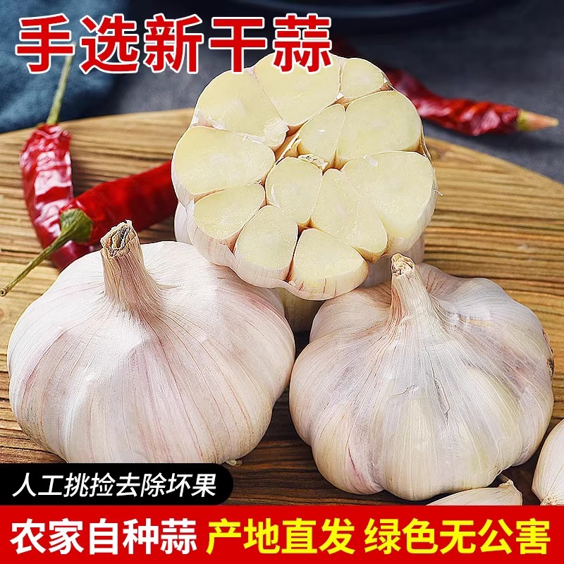 山东金乡大蒜原产地新晒紫皮干蒜大蒜头新干蒜现货农家自种3-5斤