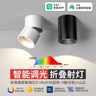 已米家APP智能明装可调角度射灯客厅玄关壁画吸顶天花灯筒灯卧室