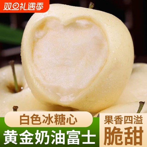 山东烟台黄金奶油富士苹果脆甜多汁当季新鲜现摘现发整箱包邮白色