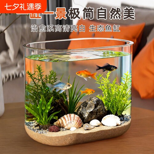 鱼缸小型斗鱼缸生态造景