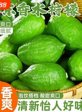 广东正宗香水无籽青柠檬当季新鲜