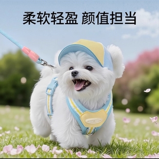 狗狗牵引绳宠物狗胸背带小型犬泰迪比熊专用背心式 外出 狗背带夏季
