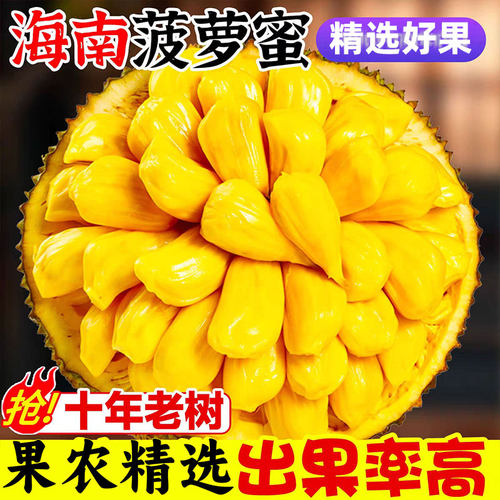 海南黄肉菠萝蜜新鲜采摘整个包邮
