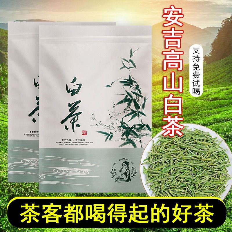 安吉白茶雨前嫩采袋装精品