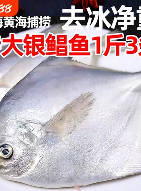 巡洋星新鲜银鲳鱼4斤海鲜深海