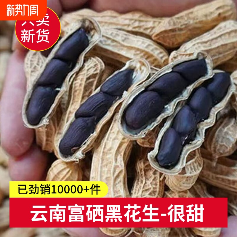 云南黑花生富硒黑花生普洱2025新货晒干黑花生种带壳黑皮花生米