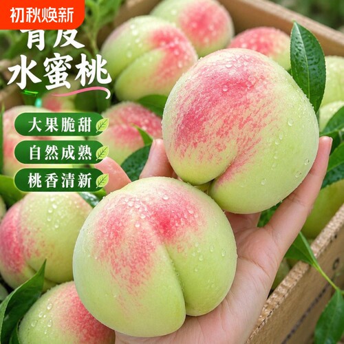 【脆甜爽口】新鲜现摘正宗水蜜桃现摘毛桃当季应季水果脆甜红不软
