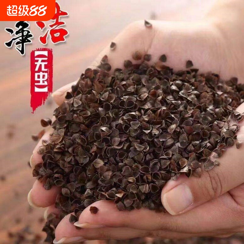 荞麦皮散装高温成人单人枕头学生荞麦颈椎枕荞麦壳枕芯免洗睡眠