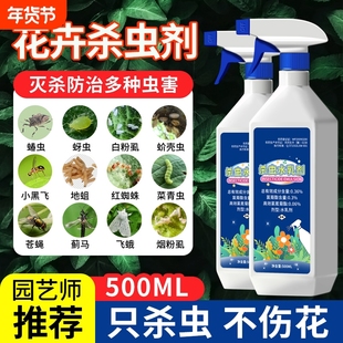 杀虫药花卉植物室内花杀虫剂通用除虫药剂蚜虫月季花病虫害常用药