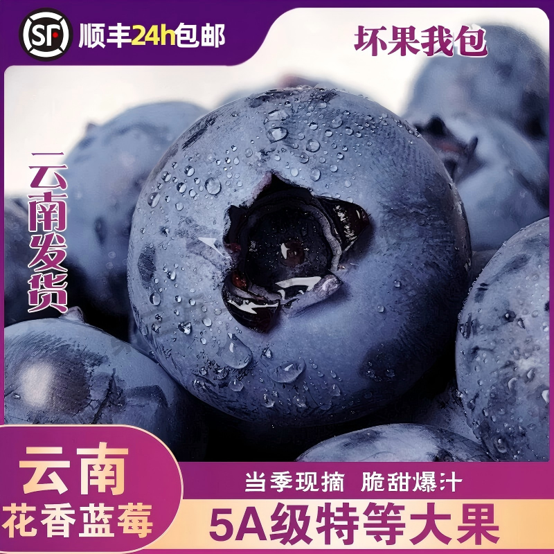 顺丰/京东云南高山澄江花香蓝莓新鲜水果大高端脆甜果香生鲜采摘