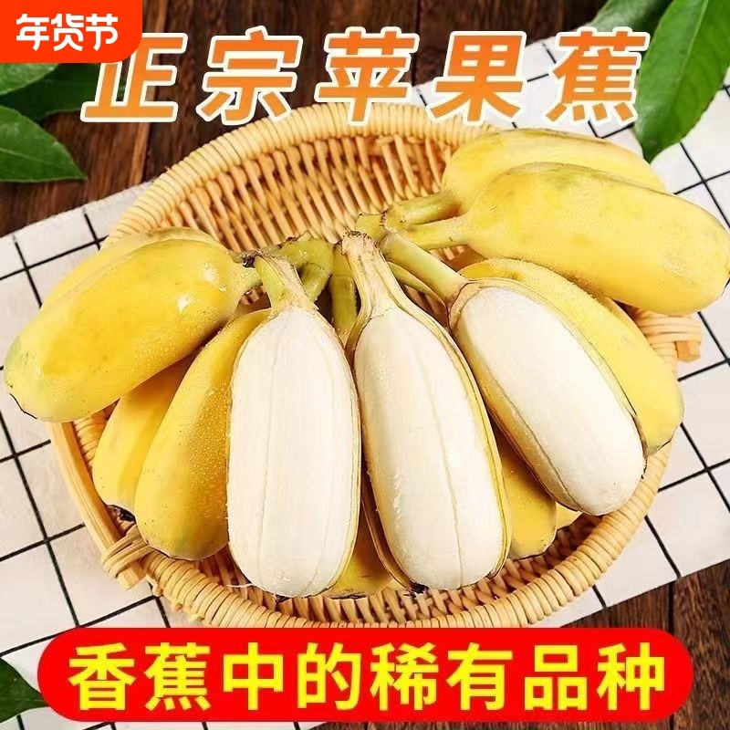 正宗苹果蕉粉蕉当季新鲜水果包邮香蕉批发自然熟自提现摘产地热带,水产肉类/新鲜蔬果/熟食,香蕉,淘宝优惠券,粉丝福利购,淘宝优惠卷