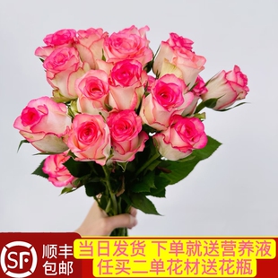 当日发货 10支艾莎公主玫瑰爱莎小公主鲜切花顺丰包邮送花上门