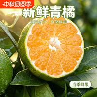 【已验货】宜昌青皮蜜桔5斤60mm