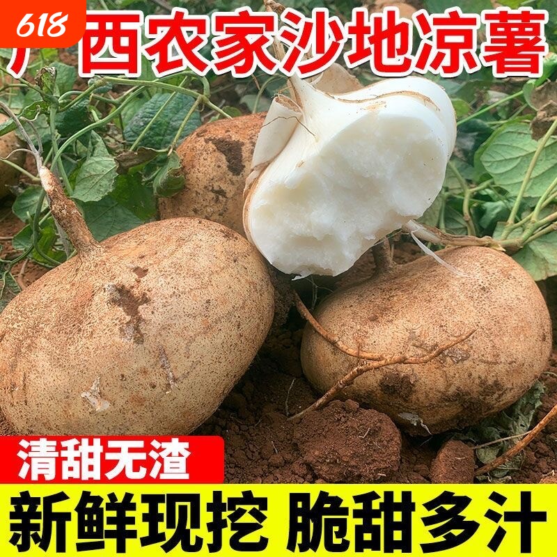 现挖水果凉薯新鲜即食农家自种白地瓜红豆薯蔬菜整箱土瓜小番薯沙