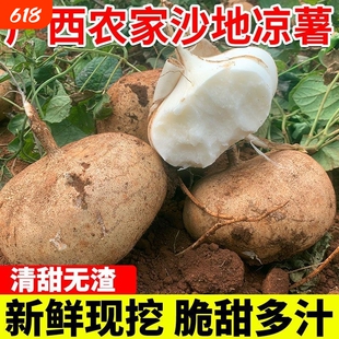 现挖水果凉薯新鲜即食农家自种白地瓜红豆薯蔬菜整箱土瓜小番薯沙