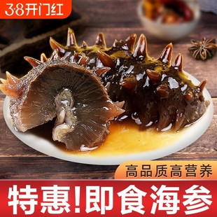 即食海参鲜活辽参刺参非干货大连独立包装水产冷冻泡发锁鲜年货