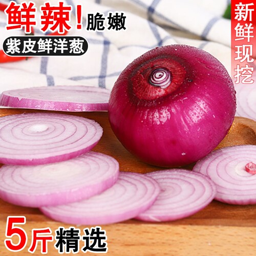 山东紫皮洋葱新鲜5斤可生吃