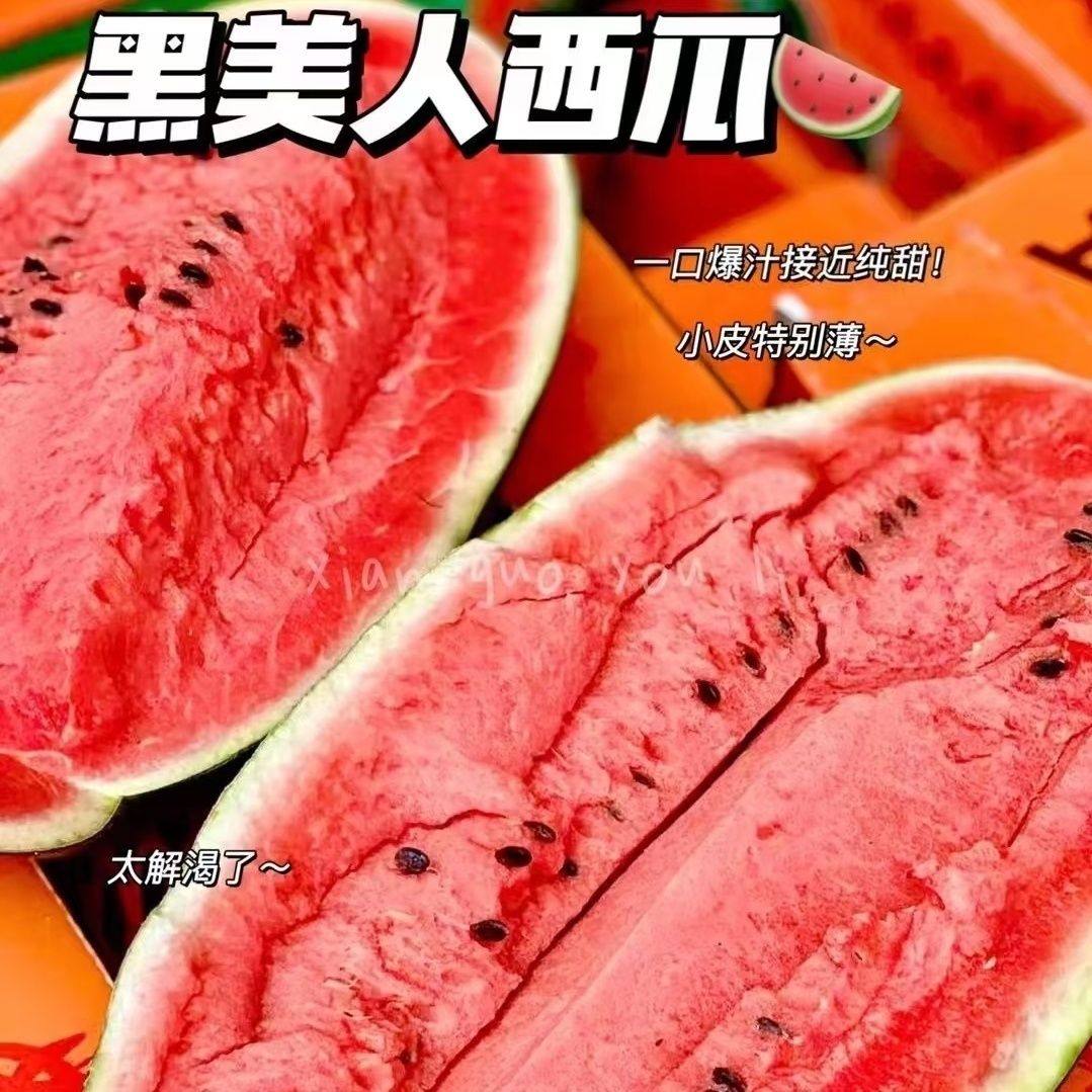 越南黑美人西瓜精品多汁新鲜水果沙瓤脆甜当季水果气柱保温箱防护,水产肉类/新鲜蔬果/熟食,西瓜,淘宝优惠券,粉丝福利购,淘宝优惠卷