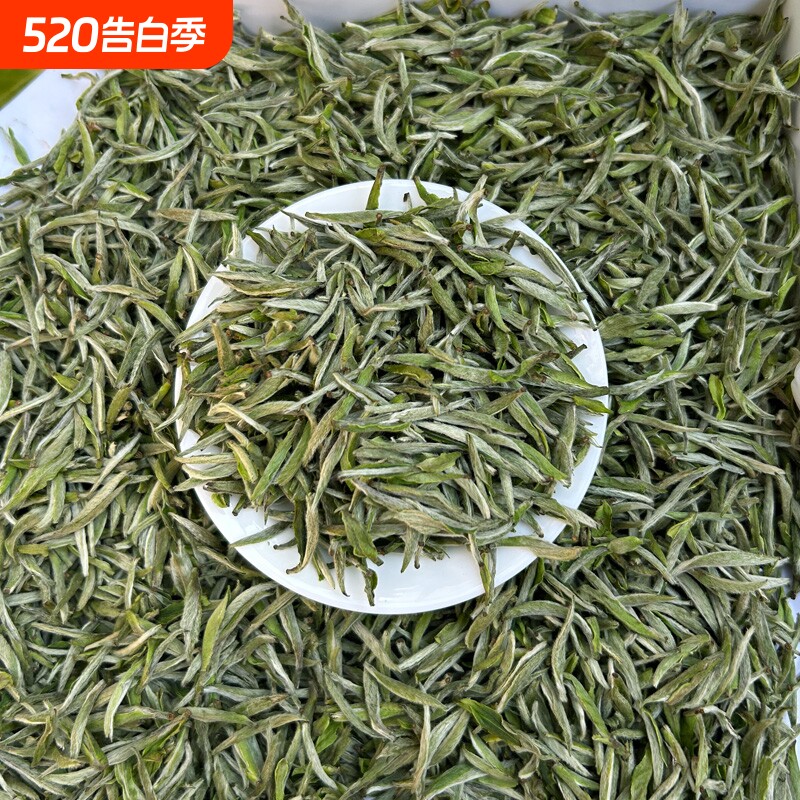 2025年高山春茶白毫银针茶叶头采花香白毫银针白茶米芽银针散茶