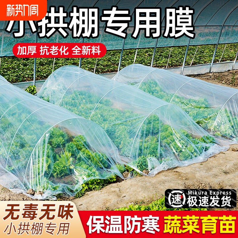 薄膜小拱棚膜大棚塑料膜蔬菜专用膜透明种菜保温防寒地膜种植育苗